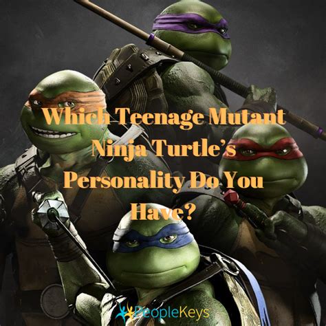Ninja Turtles Names And Colors And Personalities / Teenage Mutant Ninja