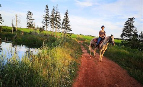 Guided Horseback Trail Ride Pei Venture Stables