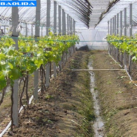 Small Greenhouse Irrigation System Greenhouse Auto Watering System