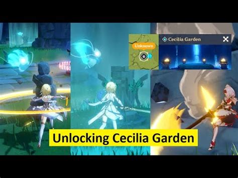 To unlock cecilia garden domain in genshin impact, first, you must solve the wolvendom puzzle and have made progress to a specific part of the game; Genshin Impact - Find Wandering Spirits - Unlocking Cecilia Garden to Farm Weapon Ascend ...