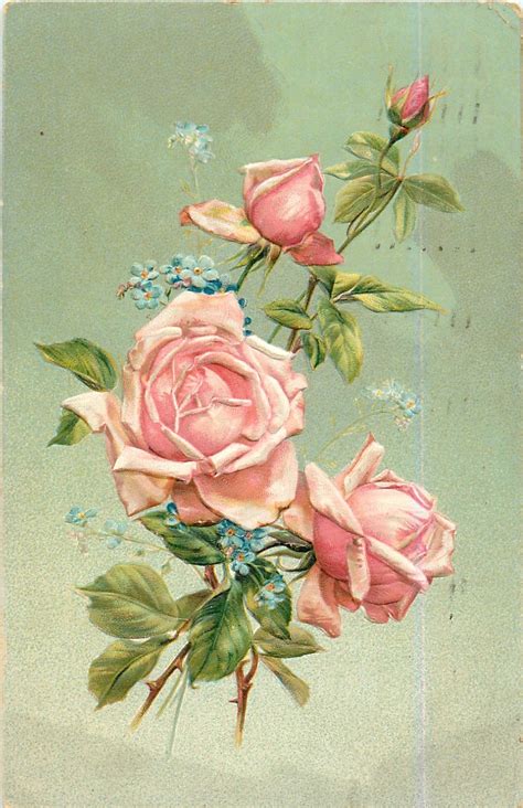 Full Sized Image Three Pink Roses And Bud Above Flower Art Vintage