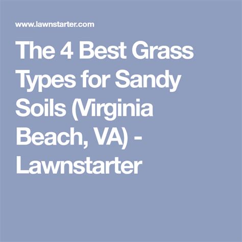 The 4 Best Grass Types For Sandy Soils Virginia Beach Va