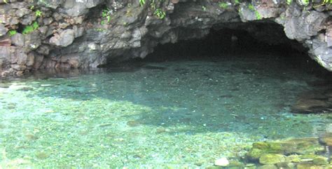 Apia Piula Cave Pool Fatumea Pool Samoa Piscine