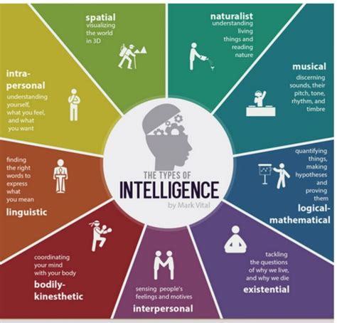 Pin By Cindy Lan On Chart Types Of Intelligence Psychology