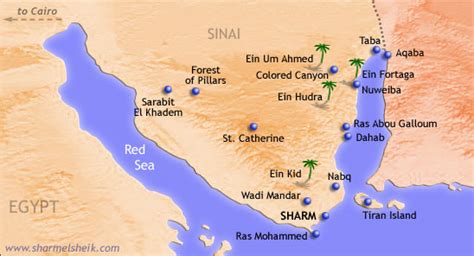 27 Dead Dozens Injured In Bus Crash In Egypts Sinai