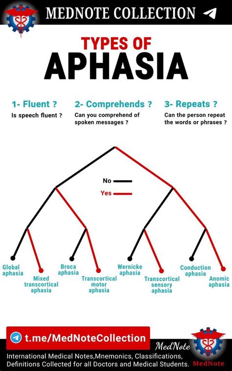 Types Of Aphasia Nursing School Notes Medical Science School Notes