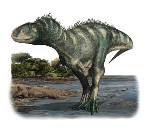 Il dinosauro più grande del mondo. RITROVAMENTO DINOSAURO PIÙ GRANDE DEL MONDO - Trento 2018