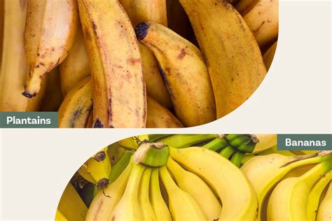 Plantain Vs Banana Whats The Difference The Kitchn