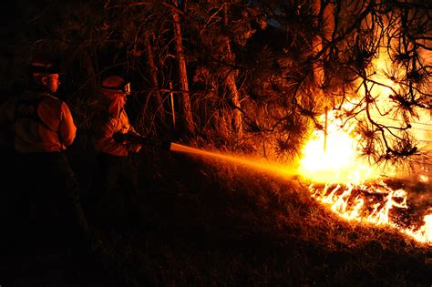 Gambar Malam Peralatan Gigi Kegelapan Api Unggun Panas Ketopong Kebakaran Hutan