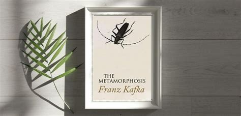 What I Learned From The Metamorphosis For Book Lovers And Random People