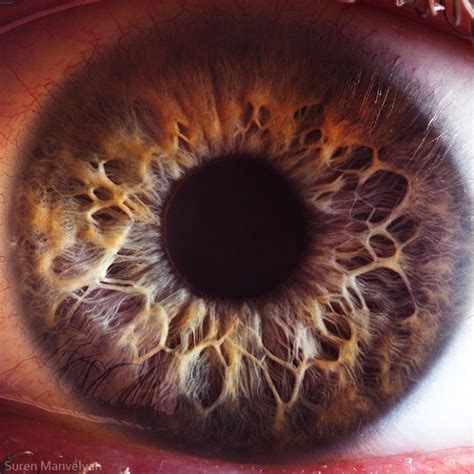 40 Unbeliveable Close Up Of The Human Eye Higher Perspective