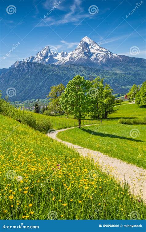 Idyllic Spring Landscape In The Alps With Meadows And Flowers Stock