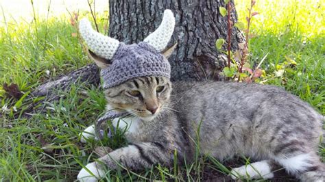 A Crocheted Helmet For Your Feline Viking Friend Cats Crochet Cat