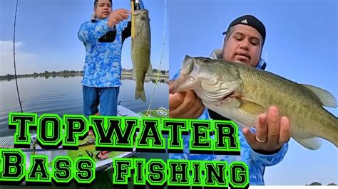 Top Water Bass Fishing Pesca De Lobina En Superficie Youtube