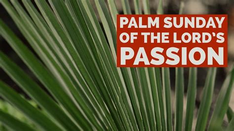 Palm Sunday Of The Lords Passion March 28 2021 Youtube