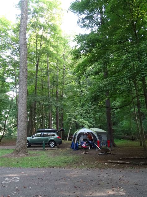 A View Of Campsite 71 Background At Pike Lake State Park Campground