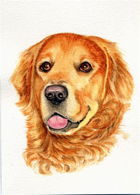 Dogs Art Painting Golden Retriever 5x7 Print By Earthspalette 1200