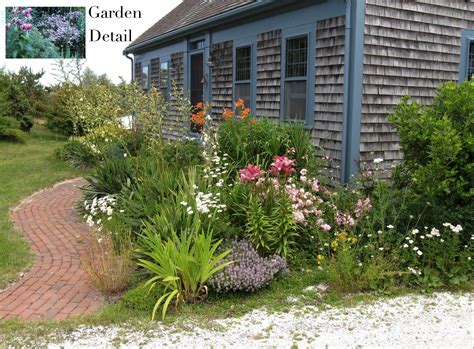 Cape Cod Historic Homes Blog Gardening With Native Plants To Enhance