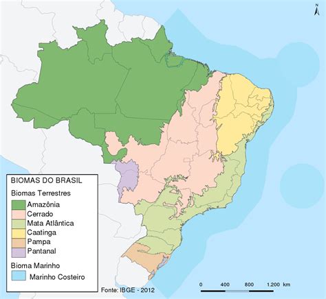 Biomas Brasileiros