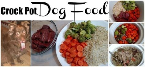 Naturalpetshop homemade dog food recipe #1 (carrots, spinach, zucchini). High Protein Homemade Crock Pot Dog Food Recipe