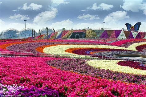 Just click on most images on this site to enlarge them and see their credit source. Rainbow-coloured oasis with 45m flowers is in the middle ...
