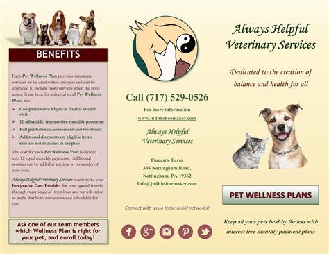 Pet Wellness Plans Always Helpful Veterinary Services