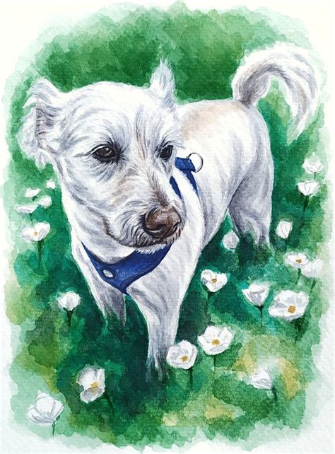 Watercolor Painting Of The White Dog Watercolor Dog Watercolor Dog