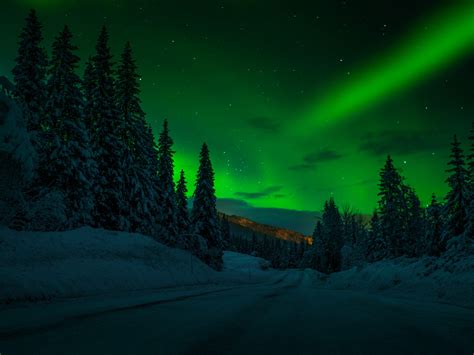 Norway Night Winter Snow Road Trees Trees Stars Stars Sky
