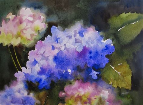 Nels Everyday Painting Watercolor Hydrangeas Sold