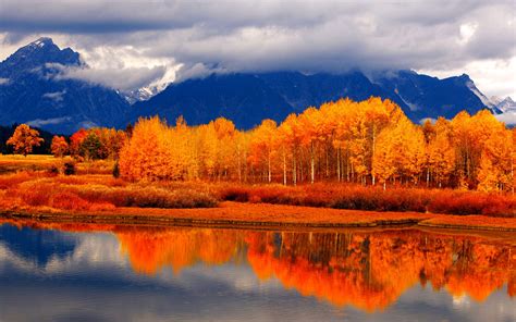 Autumn River Background Free Download Pixelstalknet