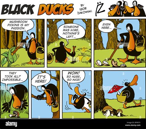 Black Ducks Comic Strip Episode 23 Stock Photo Alamy