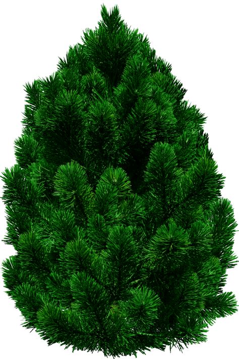 Tree Png Image
