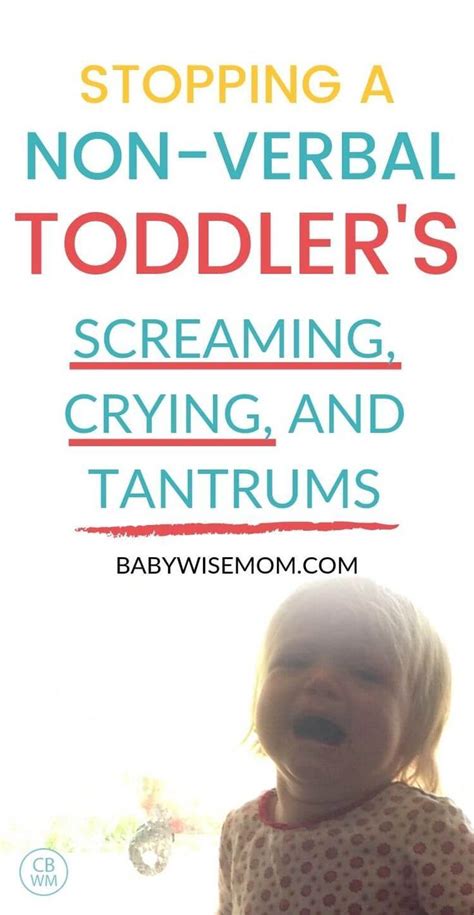 Stopping A Non Verbal Toddlers Screaming Crying And Tantrums Tips