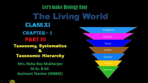 Taxonomy Systematics And Taxonomic Hierarchy Youtube