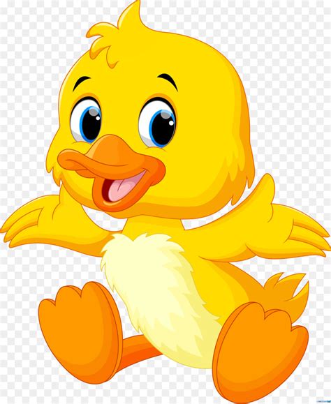 Cartoon Baby Bird png download - 4327*5282 - Free Transparent Duck png
