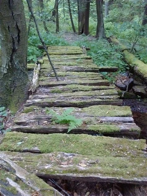 Hiking at codorus state park. Blue Knob State Park - The Road Slowly Traveled