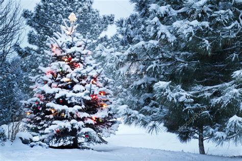 Brightly Lit Snow Covered Christmas Tree In Snowstorm ⬇ Stock Photo