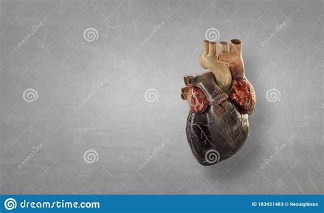 Image Of Human Heart Made Of Metal Elements Stock Image
