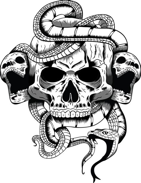 Skull Png White And Black Skull Clipart Free Download Free