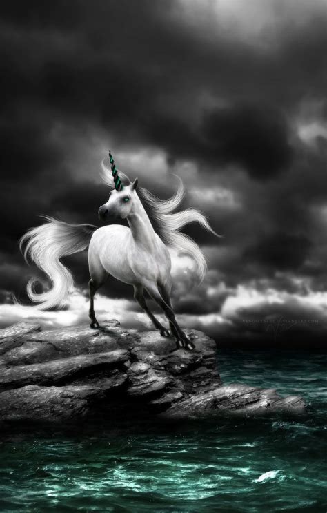 Pin By Mallory M On Fantasy Horses Fantasy Horses My Fb Fairy Tales