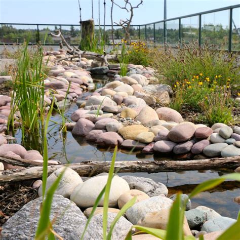 2015 Award Winners — Green Roofs For Healthy Cities