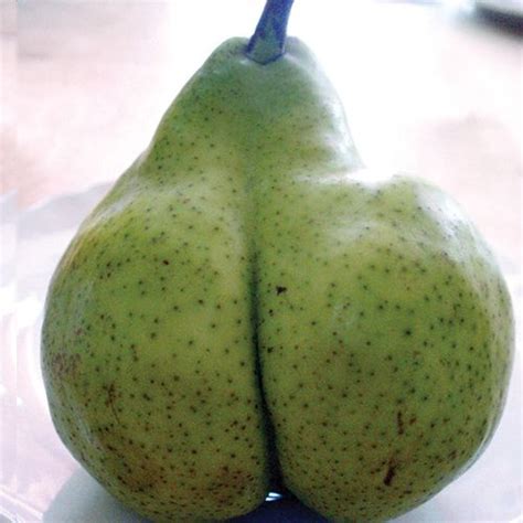 Pear Butt Pears Pear And Photos