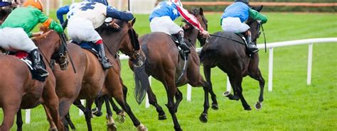 Sea The Sun Leads Betbrights Quest For Tipster Challenge Glory Sea