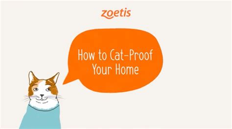 How To Cat Proof Your Home Zoetis Petcare