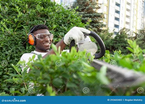 African American Male Garden Worker In Uniform Trims Bushes With Electric Tool Stock Photo