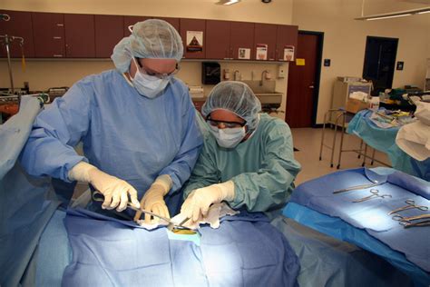 Irsc Update New Online Course At Irsc Helps Surgical Technicians To