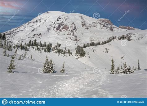 Beautiful View Of Mount Rainier In Winter With Footprints In The Snow