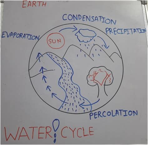 Water Cycle Class 6 Science Lesson Water