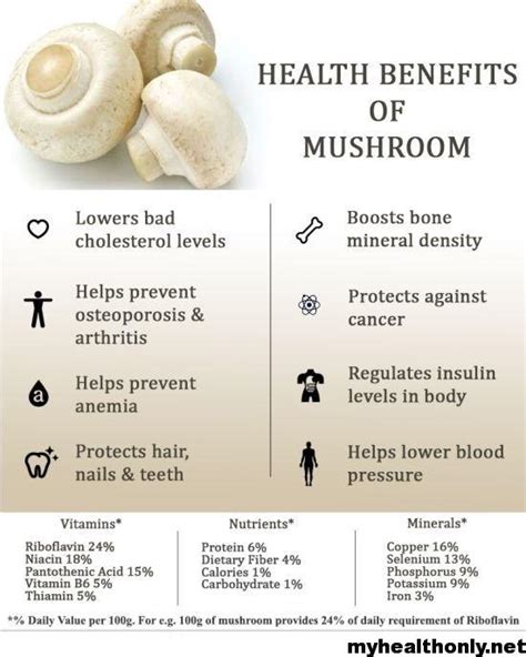 9 Unique Health Benefits Of Mushroom You Must To Know My Health Only