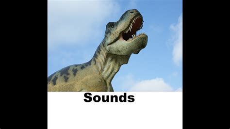 Dinosaur Sound Effects All Sounds Youtube